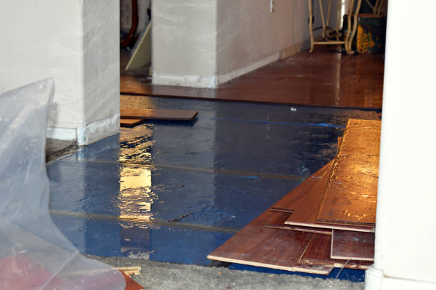 Professional Basement Water Removal technician working in Purcell, MO